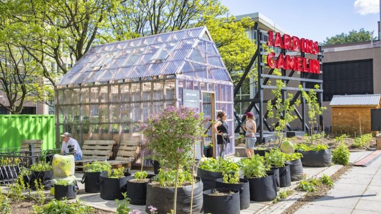 Agriculture urbaine à Montréal